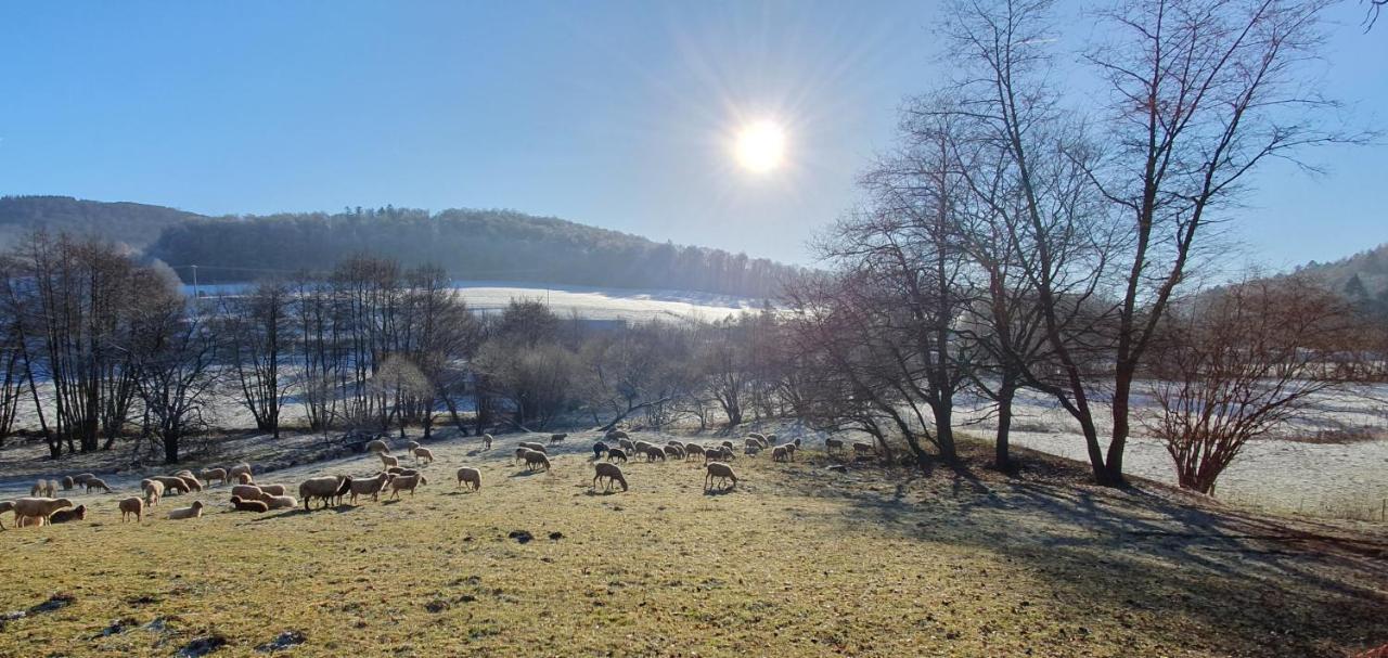 Ferienwohnung Zum Maerchenwald Bergfreiheit Buitenkant foto