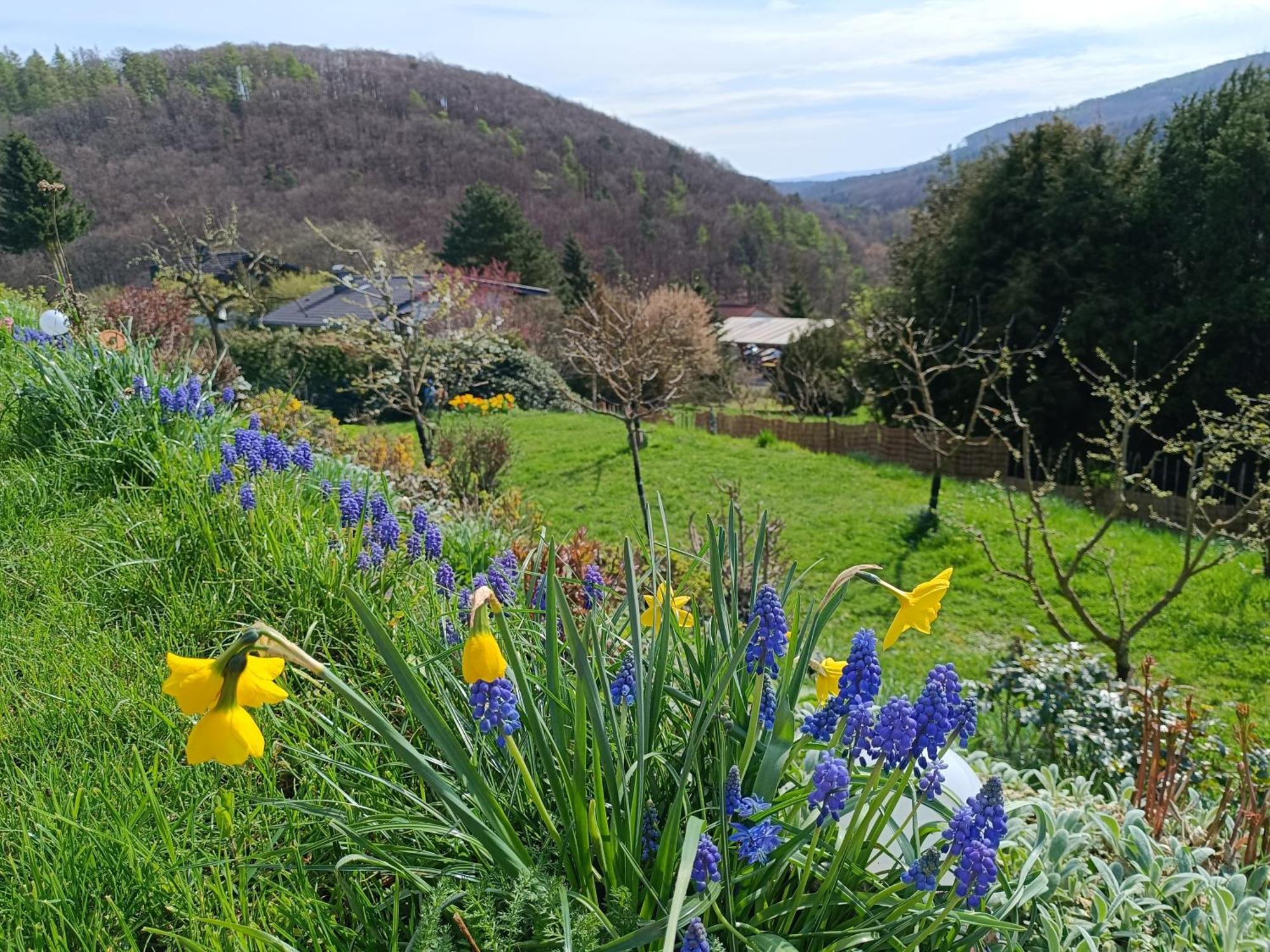 Ferienwohnung Zum Maerchenwald Bergfreiheit Buitenkant foto