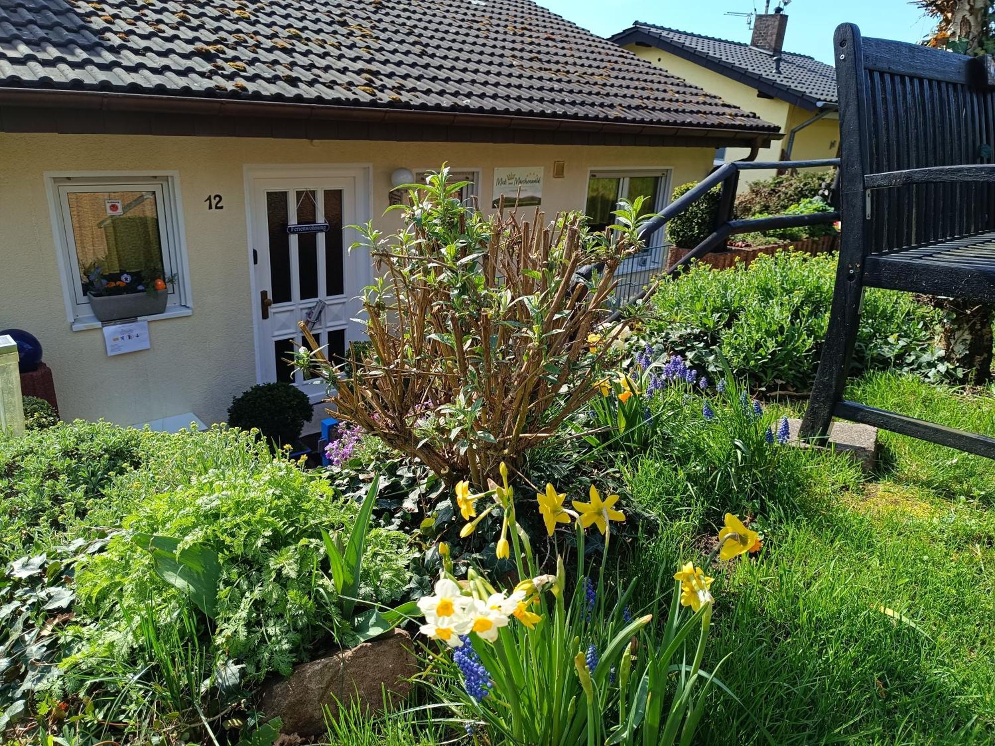 Ferienwohnung Zum Maerchenwald Bergfreiheit Buitenkant foto