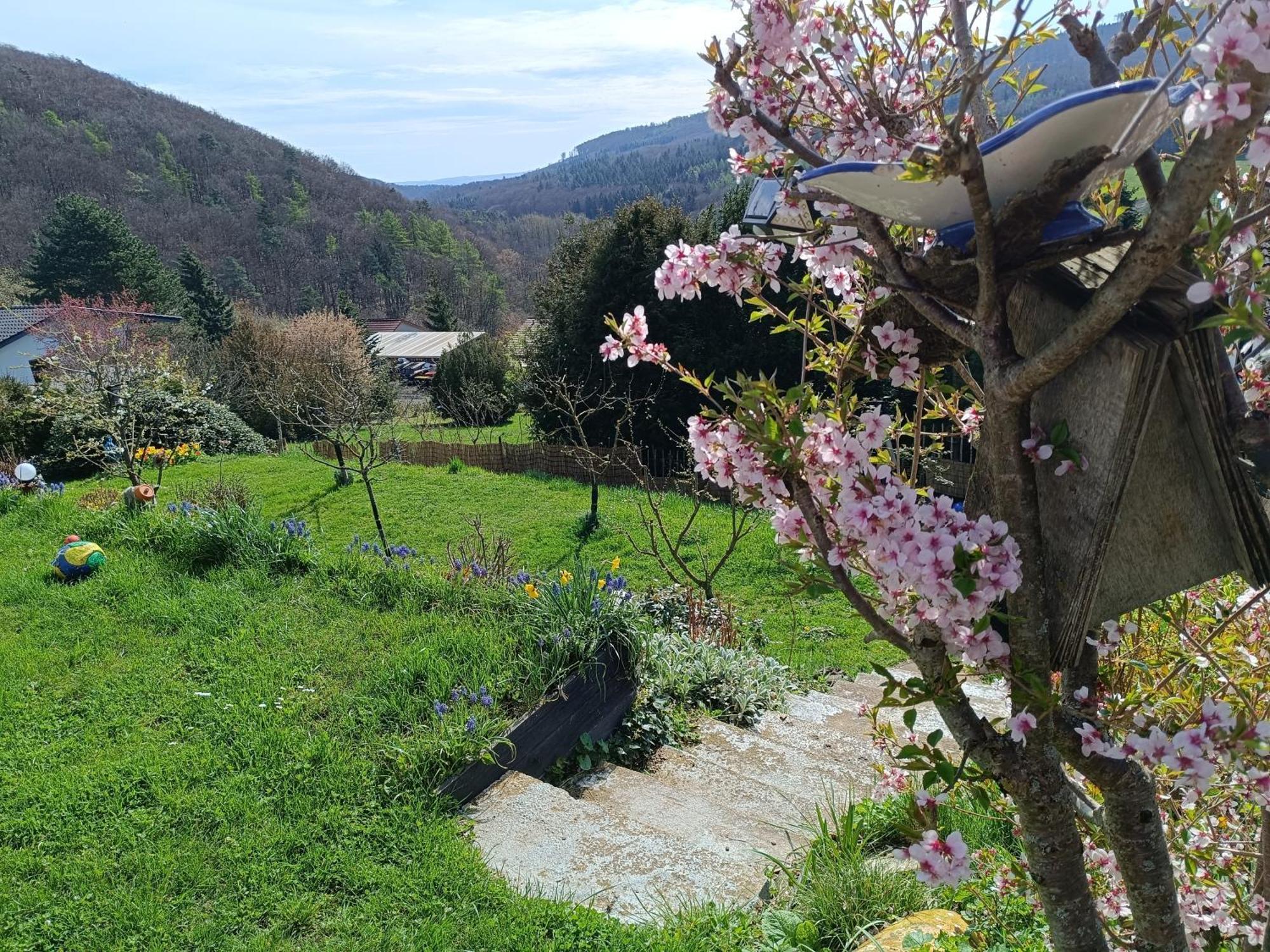 Ferienwohnung Zum Maerchenwald Bergfreiheit Buitenkant foto